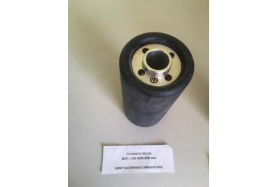 Išskirtinis 100 mm skersmens stulpas – 220 Eur +PVM