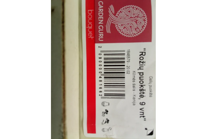 Amži? melodijos – tik 3,98 EUR!||?sigykite 19 unikali? melodij? vertim? dabar!||AntBa prasm?: 19 dain? knygel?je j?s? laukia!||Septynios ispan? dainos ir vertimai – skaitykite!