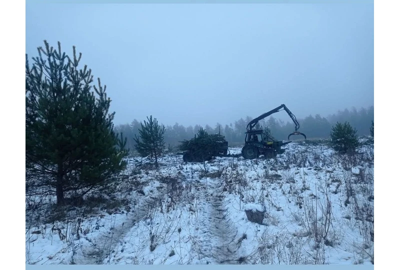 Atsikratykite apaugusių sklypų – greitas ir švarus sutvarkymas!||Sutvarkome jūsų sklypą – iškerpame krūmus ir nereikalingus medžius.||Vilniaus apylinkėse – profesionali sklypų švarinimo paslauga.||Suteikiame tvarkingą vaizdą jūsų sklypui – pašaliname augmeniją.||Susisiekite dėl sklypų tvarkymo – Vilniaus apylinkės, patogus kontaktas.