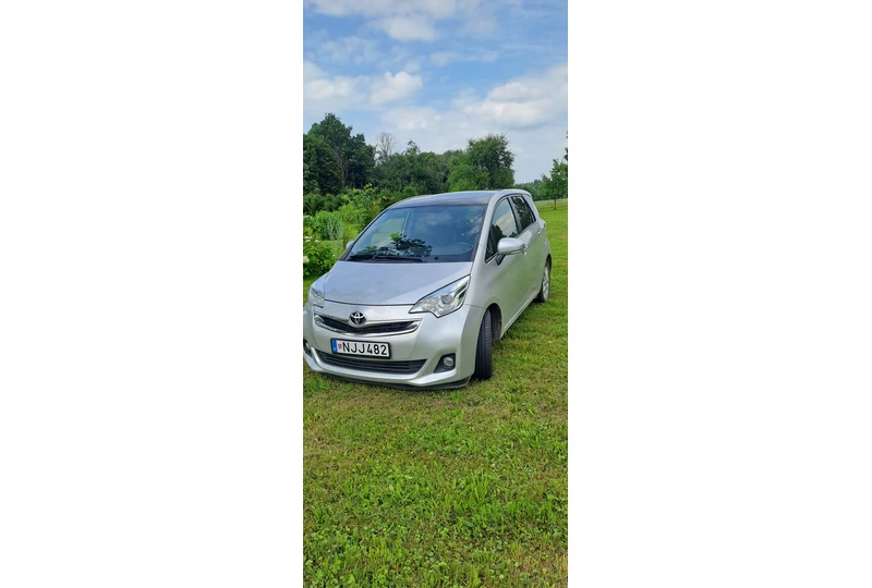 Tvarkingas, taupus automobilis tau