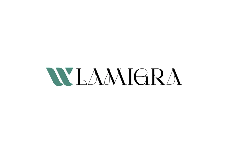 Transporto licencija greitai ir lengvai