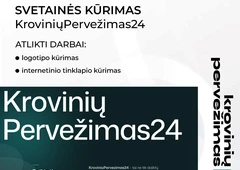Profesionalus svetaini? k?rimas ir atnaujinimas j?s? verslo poreikiams