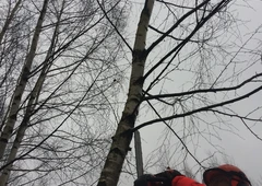 Profesionalus sklypo tvarkymas ir apželdinimas||Mišk? valymas, park? prieži?ra visoje Lietuvoje||Gyvatvori? karpymas, medži? gen?jimas profesionaliai||Alpinarium? atnaujinimas, dekoratyvini? augal? prieži?ra