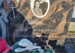 Profesionalus raidžių kalimas ant paminklų Vilniuje
