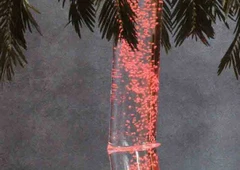 Vandens burbul? palm? – prabangos oaz? namuose