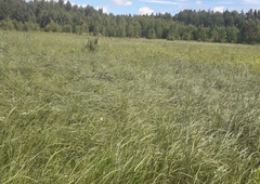 Žem?s sklypas prie miško, 10km iki Vilniaus